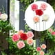 thumbnail image 1 of Artificial Rose Flower Decorations Set | 5pcs Faux Floral Garden Decoration | Plastic Fabric Shrub Plants for Patio, Balcony, Grave, Memorial, Events | Upscale Look Simulation | Long-lasting Outdoor, 1 of 8