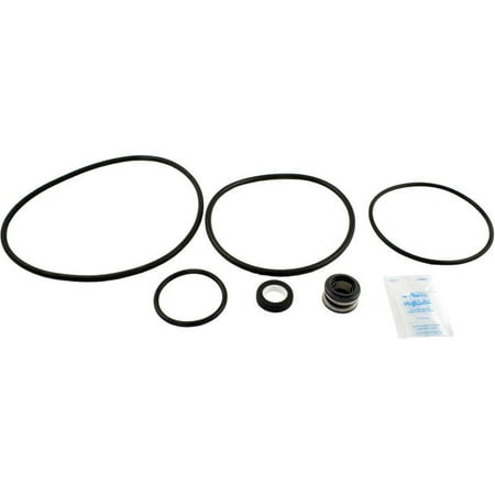 Aladdin GO-KIT47 Kit for Starite Dynaglas Pump