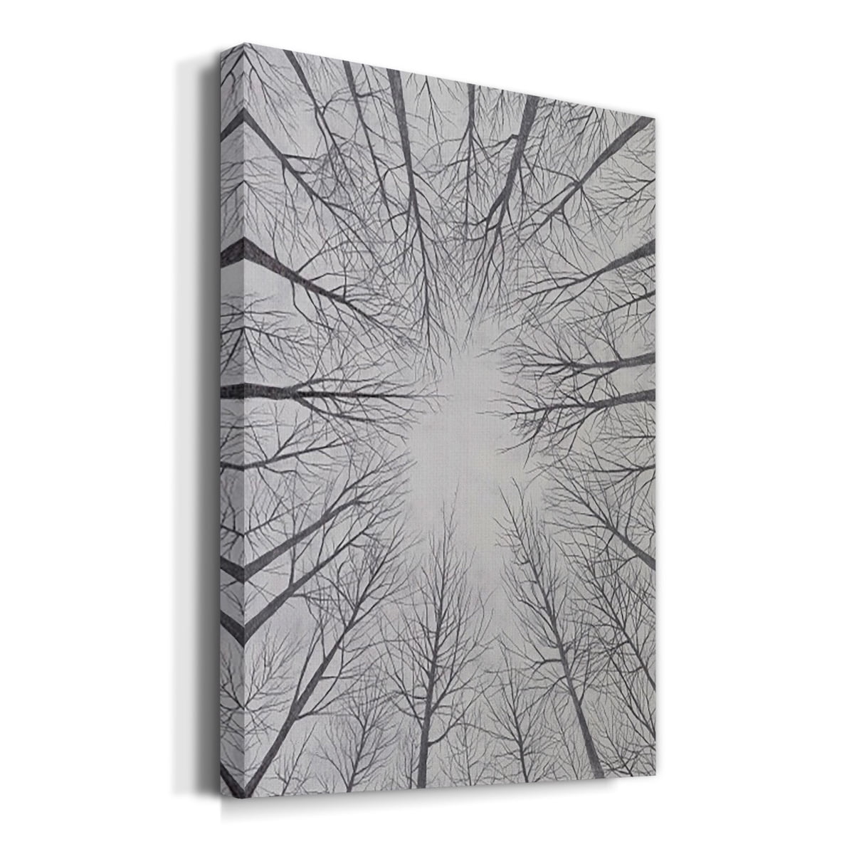 Deciduous Canopy II Premium Gallery Wrapped Canvas - Ready to Hang