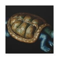 thumbnail image 3 of Box Turtle Baroque - Canvas, 3 of 25