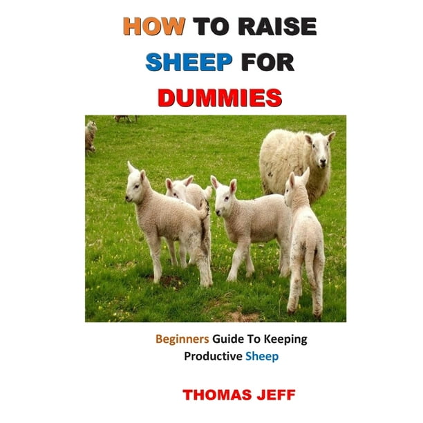 How to Raise Sheep for Dummies Beginners Guide To Keeping Productive