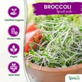 thumbnail image 5 of Nature Jim's 8 oz Broccoli Sprout Seeds, Organic Sulforaphane-Rich, 5 of 13