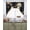 Mutli-Color, variant on Vintage Black Floral Swag Valances for Windows, Small Curtains Drapes, Spring Seasonal Botanical Blooms Kitchen Window Curtains Over Sink Window Treatment Valance for Bedroom/Bathroom 56"x36"