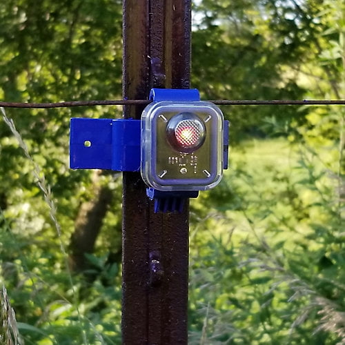 Insulight Flashing Electric Fence Monitor