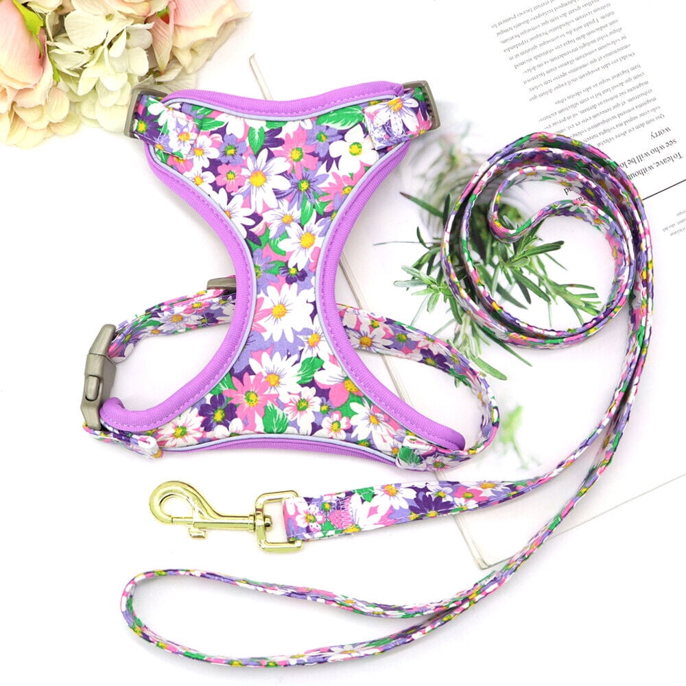 Didog 3pcs Personalized Dog Collar & Walking Leash & Soft Mesh Vest Harness Nylon S-L