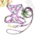 thumbnail image 2 of Pet Artist 3pcs Printed Dog Harness and leash and Personalized Dog Collar Set Custom Engraved, 2 of 5