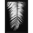 thumbnail image 2 of 1x Studio III 17x24 Black Modern Wood Framed Wall Art Titled - Palmblad_004, 2 of 6