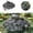 Gray, variant on Turtle Basking Platform Turtle Tank Decoration for Aquariums & Terrarium, Reptile Habitat Hideout with Climbing Ramp, for Turtle Lizard Newt in Home Tank