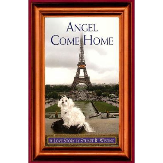 Pre-Owned Angel Come Home: A Love Story (Paperback) 0578118343 9780578118345