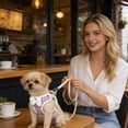 thumbnail image 5 of Escape Proof Cat Vest Harness and Leash Set, Adjustable Breathable Mesh Pet Harness with Bow for Walking Outdoor Use(Purple,M), 5 of 5