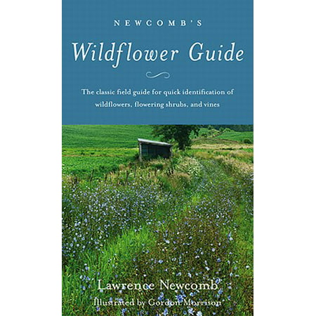 Newcomb's Wildflower Guide (Best Time Of Year To Plant Wildflower Seeds)