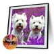 thumbnail image 4 of Cuadros Decorativos 5D taladro redondo completo diamante pintura cachorro perro diy bordado punto de cruz decoración Tmvgtek embutido en tela, 4 of 9