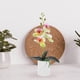 thumbnail image 5 of Planta artificial en maceta de orquídea para decoración de mesa, 5 of 6