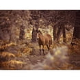 thumbnail image 3 of Frank, Assaf 18x15 Black Modern Framed Museum Art Print Titled - Wild Horse-New Forest, 3 of 5