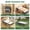 75"x31", variant on 75" * 38" Folding Bed with Adjustable Headboard, 5" Memory Foam Rollaway