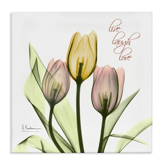Live Laugh Love Phrase Yellow Pink Tulip Florals Botanical & Floral Gallery-Wrapped Canvas Print Wall Art, 17x17