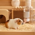 thumbnail image 4 of Pet Water Dispenser, Two Ball Hanging Water Bottle 120ml No Drip, for Hamsters and Small Pets, Cage Mounted Hydration Solution, 4 of 6