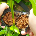 thumbnail image 2 of Air Layering Propagation Balls High Pressure Plant Rooting Ball Root Graft Growing Breed, 2 of 5