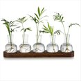 thumbnail image 1 of EstacióN de PropagacióN de Terrario de Plantas, Florero de Vidrio con Bandeja de Madera, Floreros Modernos para Sala de Estar y Oficina, 1 of 5