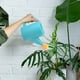 thumbnail image 3 of Regadera pequeña de plástico de 700 ml para niños: diseño liviano y duradero con boquilla desmontable y mango ergonómico | Plantas de interior y flores de jardín, 3 of 4