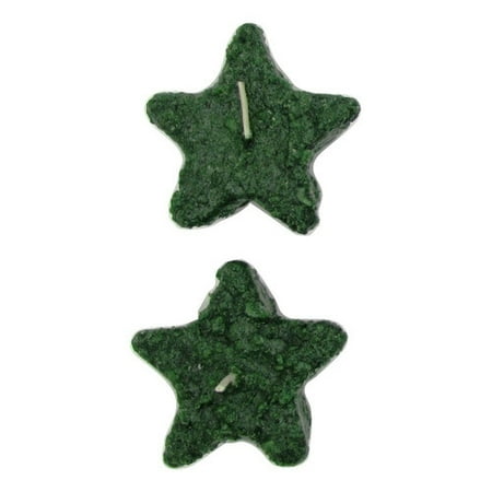 - Star Hollow Candle Company Cinn Stix Floating Candle (Set of 2)