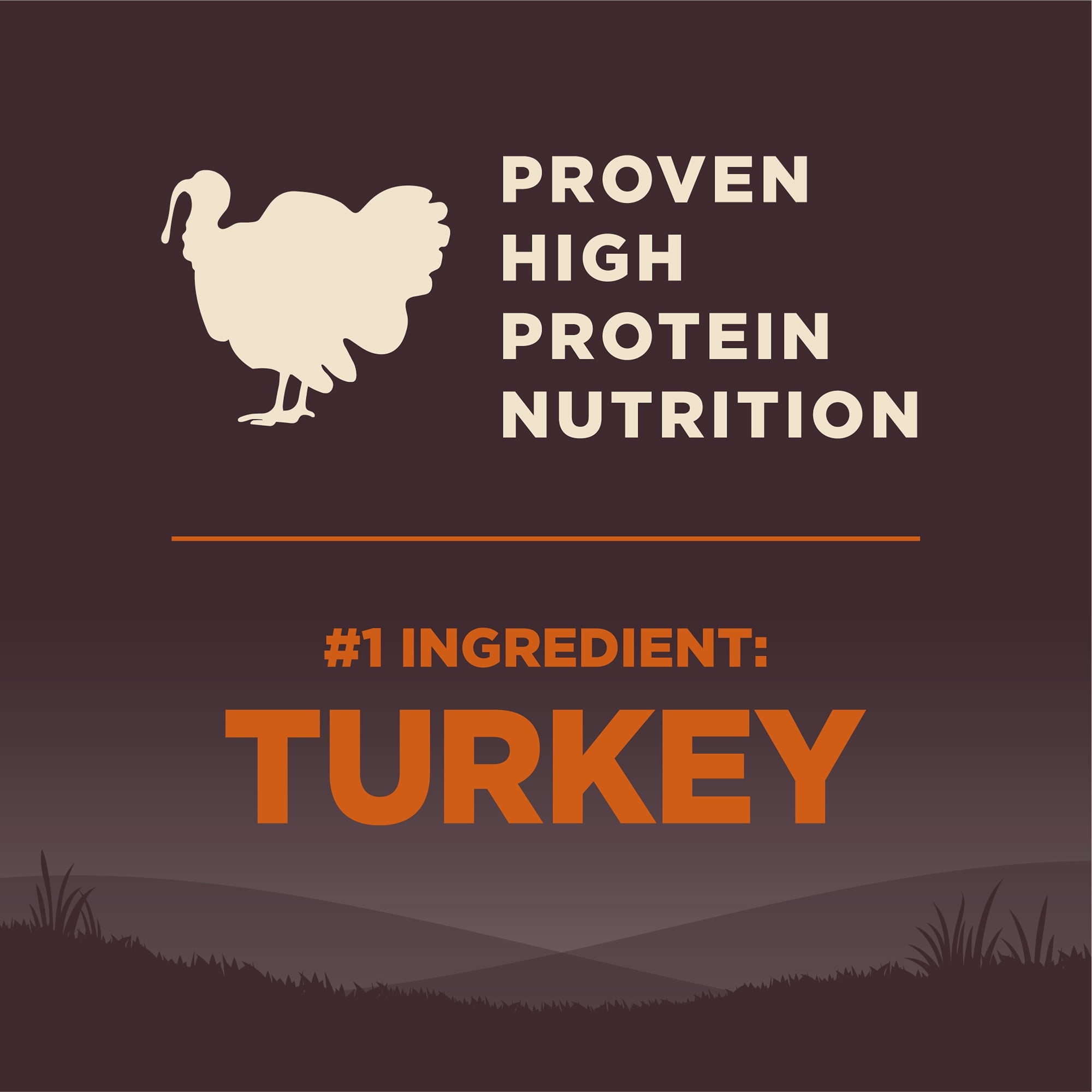 Wellness CORE Dry Dog Food, Grain Free, High Protein, Natural, Original Turkey & Chicken Recipe, (26-Pound Bag)