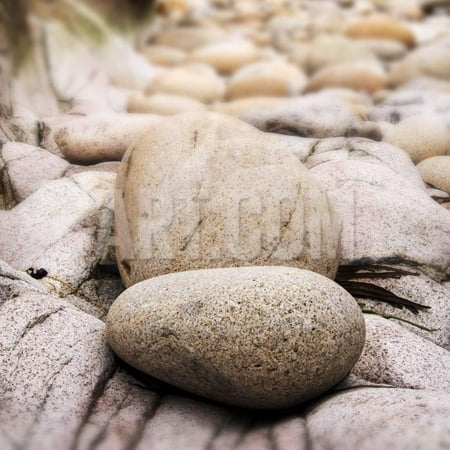 Tilt Shift Effect Image with Shallow Depth of Field Textured Rocks on Beach Print Wall Art By
