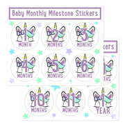 Unicorn Baby Monthly Milestone Photo Prop Stickers 10x12 Sticker Set of 2