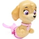 thumbnail image 1 of SwimWays Paw Patrol Paddlin' Cachorros - Skye, 1 of 3