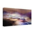 thumbnail image 4 of Canvas Wall Art - Heidi Westum 'Wild River' Wall Art for Living Room, Bedroom, or Office Décor by Trademark Fine Art - 24 x 12 Inches, 4 of 4