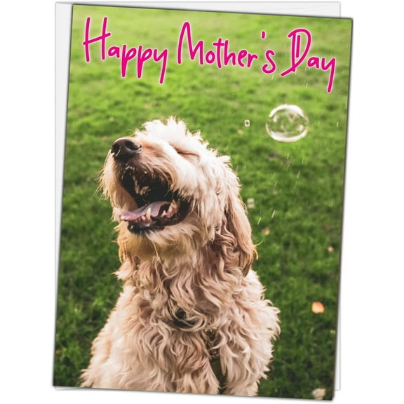Best Mom in the Dog Park Mother's Day Greeting Card