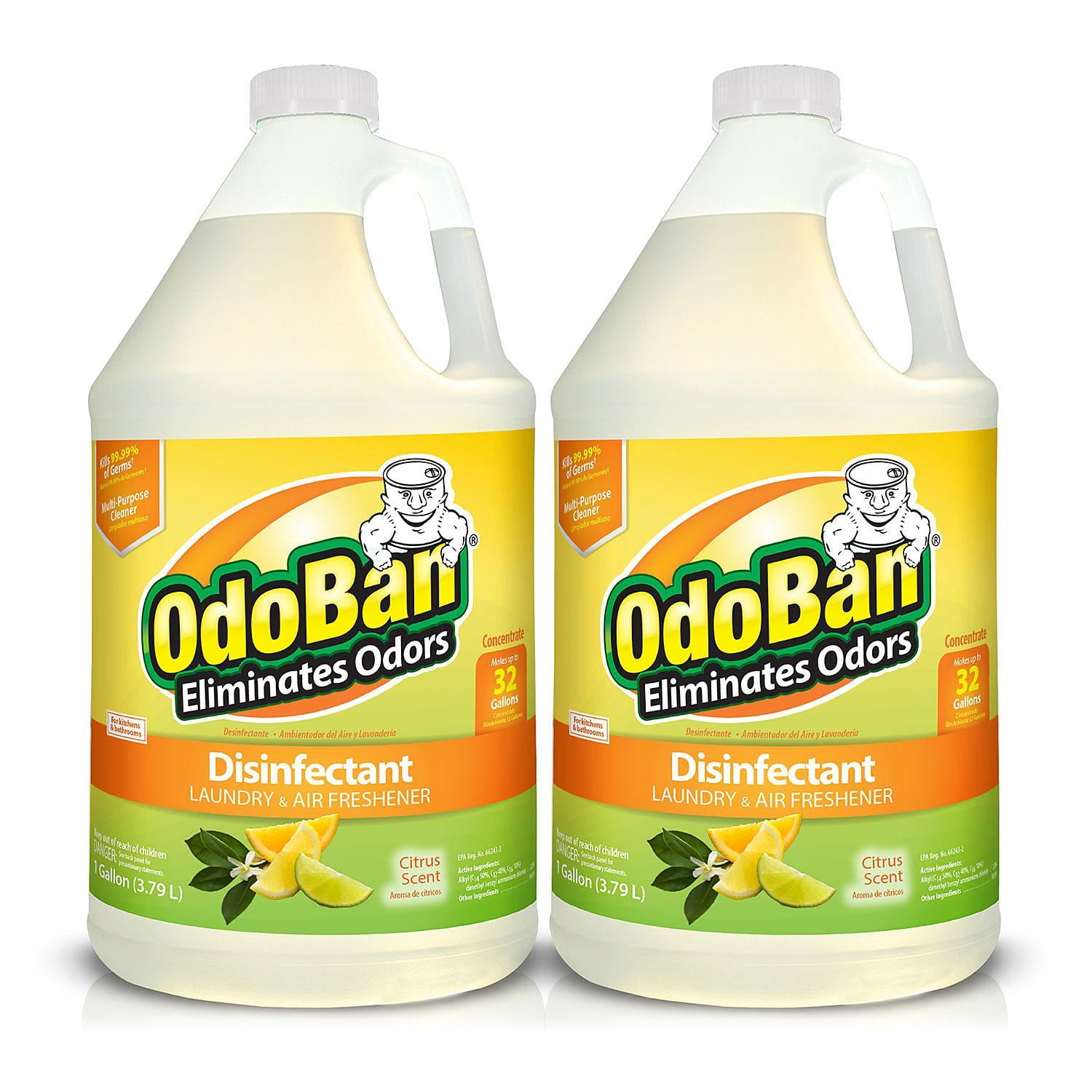 OdoBan Odor Eliminator and Disinfectant Concentrate, Citrus Scent (128