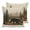 Brown, variant on Vintage Trees Pillow Covers 16x16 Set of 2, Mountain Lake Stripes Farmhouse Art Throw Pillow Covers Decorative Couch Cushion Cover, Microfiber Soft Square Pillowcases for Bedroom Living Room Sofa
