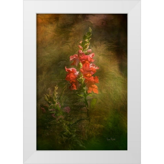 Murdock, Ramona 23x32 White Modern Wood Framed Museum Art Print Titled - Snapdragon Twilight II