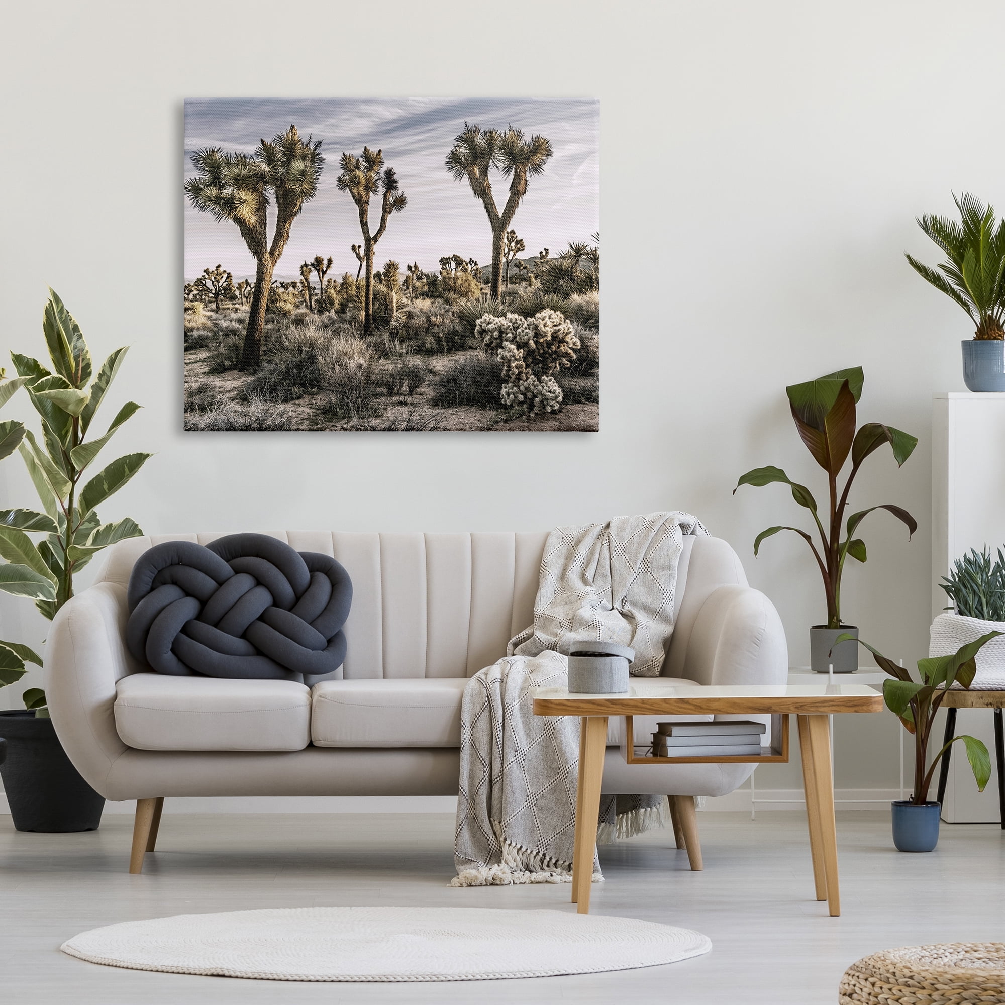 Stupell Industries Desert Cacti Vegetation Landscape Photography Gallery Wrapped Canvas Art Print Wall Art, 48 x 36
