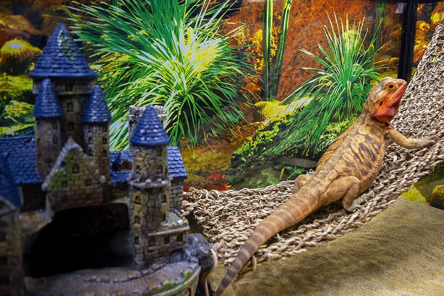 Château et pont de Penn Plax pour les lézards