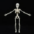 thumbnail image 3 of Nmdmisc Posable Halloween Skeleton Decorations Poseable Skeleton With Movable Joints For Halloween Indoor/Outdoor Haunted Houses Graveyard Decor,15.7", 3 of 4