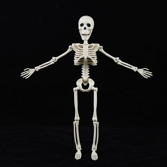 "Life-Size Poseable Halloween Skeleton with Movable Joints - Realistic Haunted House Graveyard Decor for Indoor Outdoor Scary Party Decoration" (148 characters)