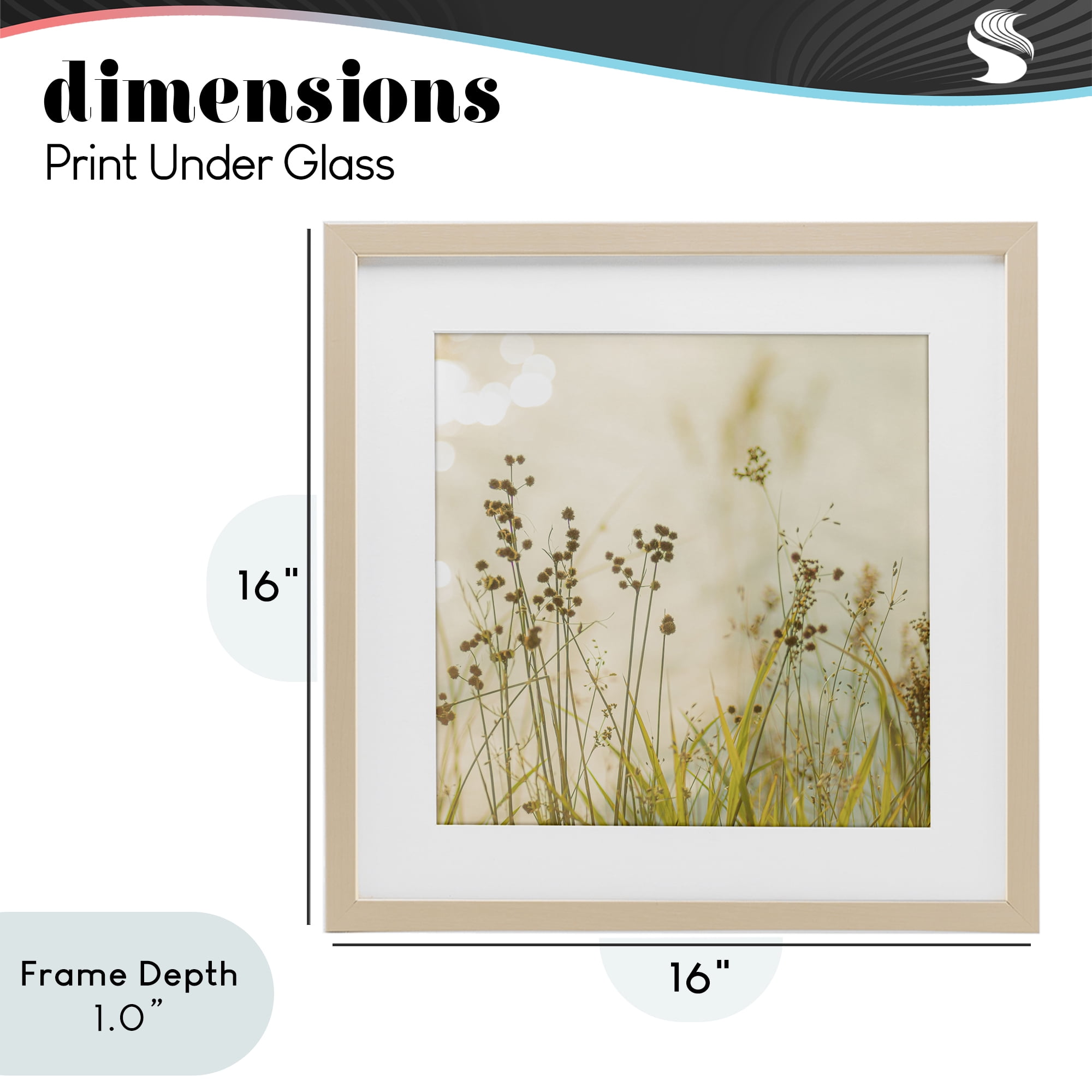 Stupell Industries Country Afternoon Walk Birch Framed Print Under Glass, design by Erin Marie