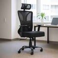 thumbnail image 1 of Silla Directiva Ergonomica TITANO Ajustable Soporte Lumbar de Malla, 1 of 7