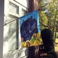 thumbnail image 2 of Carolines Treasures SS4134-FLAG-PARENT Chow Chow Flag  multicolor, 2 of 2