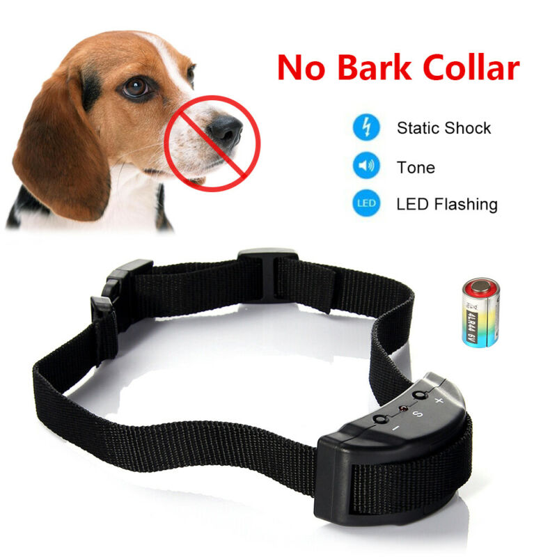 bark collar reviews consumer reports