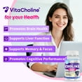 thumbnail image 3 of Extra Strength Choline 500 mg - Essential Nutrient Featuring VitaCholine® for Focus Support - Vegan Certified · Non-GMO · Gluten Free - 60 Liquid Capsules, 3 of 7