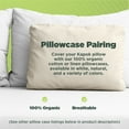Kapok Bed Pillow EcoFriendly Organic Cotton Fabric Luxurious Sleeping