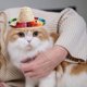 thumbnail image 5 of Sombrero de Cuerda con Cuentas para Mascotas para Vacaciones, 5 of 6