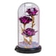 thumbnail image 1 of Cateissary Flor de rosa encantada en cúpula de cristal Luz LED Decoración del día de San Valentín Flores artificiales Púrpura, 1 of 1