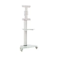 thumbnail image 2 of Tripp Lite Premier Rolling TV Cart for 37" to 70" Displays, Frosted Glass Base and Shelf, Locking Casters, White, 2 of 11