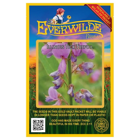 Everwilde Farms - 100 Illinois Tick Trefoil Native Wildflower Seeds - Gold Vault Seed Packet