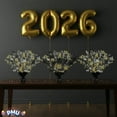 thumbnail image 6 of PMU New Year's Eve Party Supplies "Happy New Year" 12 Pcs New Year Black 15 Inch Balloon Weight Centerpiece Decoration, 6 of 7