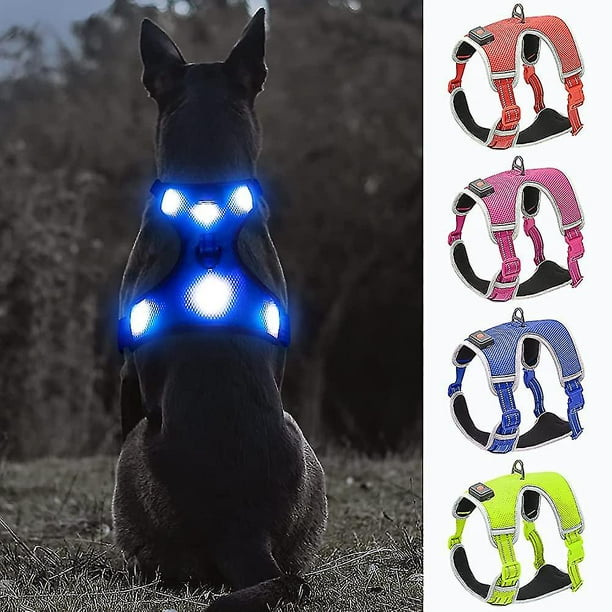 Harnais pour chien LED Réglable Harnais pour chiot Respirant Harnais pour  chien S